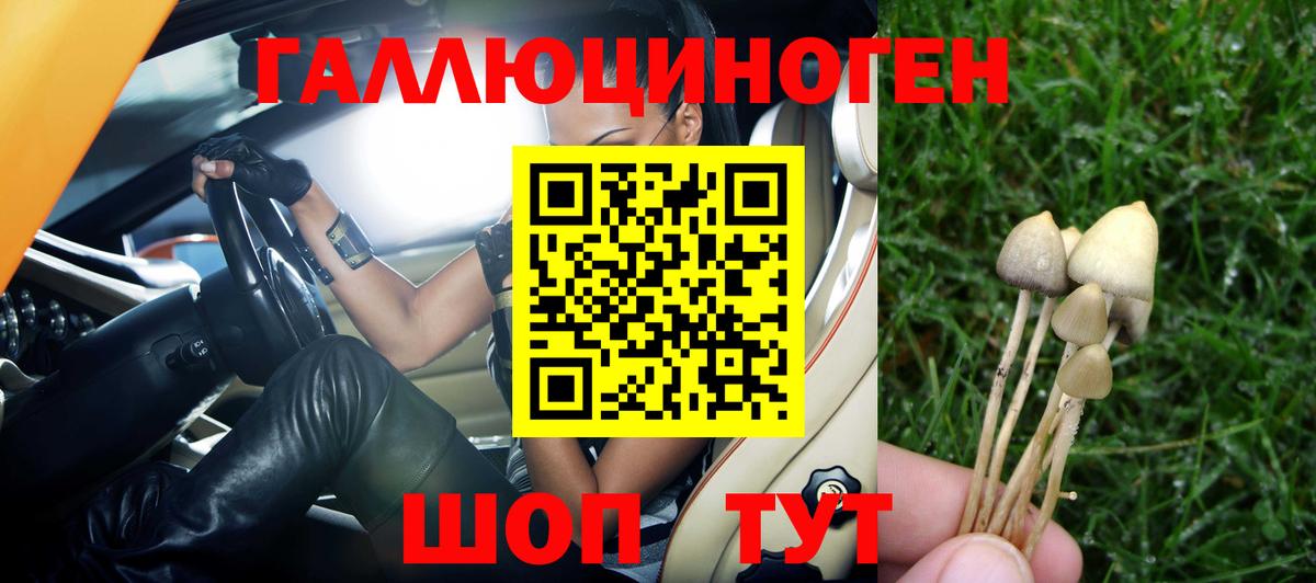 Златоуст  Галлюциногенные грибы мухоморы  Вход с VPN 