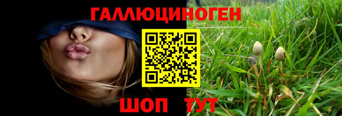 Галлюциногенные грибы MAGIC MUSHROOMS Златоуст